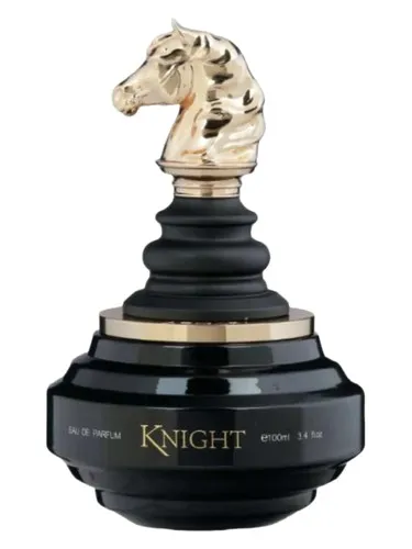 Imagen de Black Knight