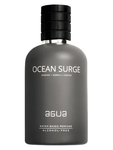 Perfume Ocean Surge de Agua