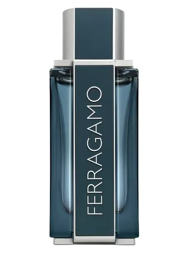Imagen de Ferragamo Sublime Leather