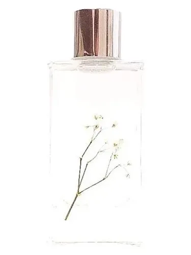 Perfume Sophia de 1509