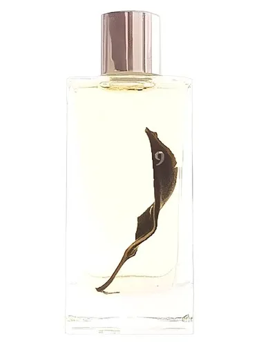 Perfume Matthias de 1509
