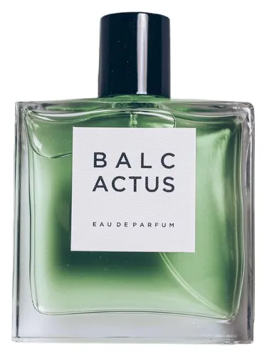 Imagen de BALCACTUS