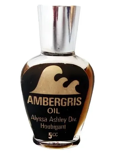 Perfume Ambergris de Houbigant