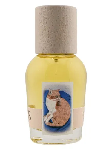 Perfume Mango Baby de Cirrus Parfum