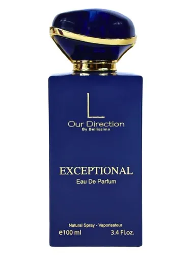 Imagen de Our Direction Exceptional