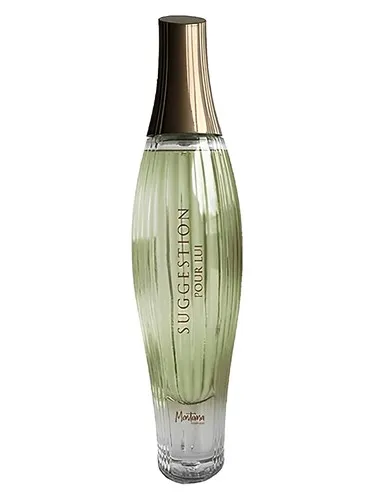 Perfume Suggestion pour Lui de Montana