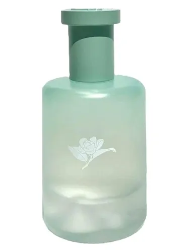 Perfume Camellia in the Mountain 清野山茶 de Man Song 慢宋