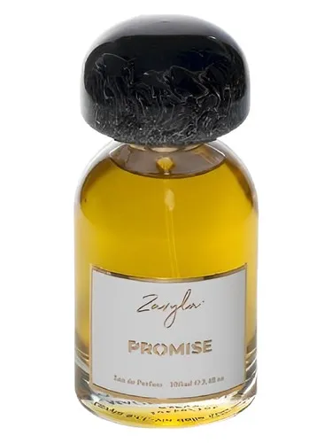 Imagen de Promise