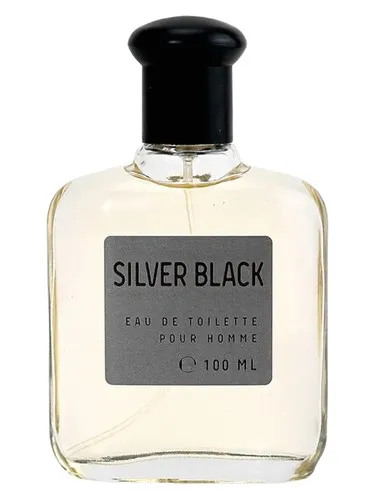 Imagen de Color Essences Silver Black