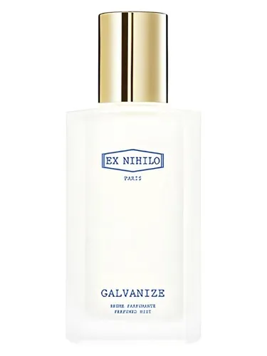 Imagen de Galvanize