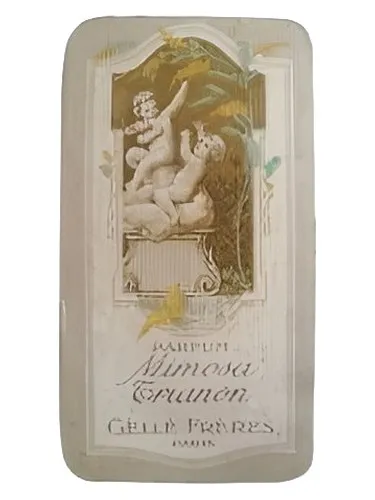 Perfume Mimosa Trianon de Gelle Freres