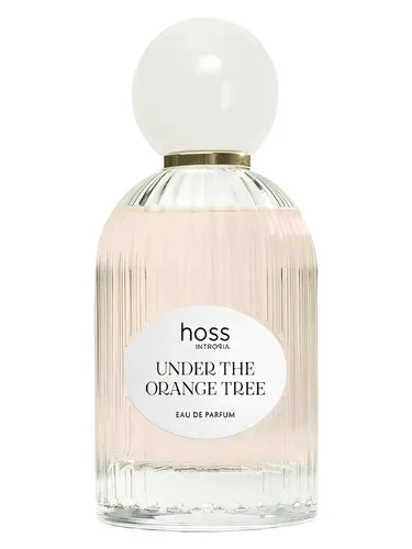 Imagen de Under The Orange Tree