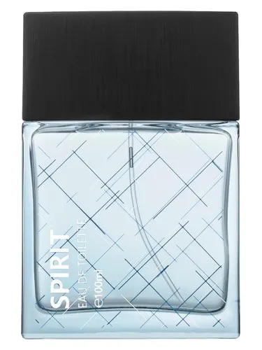 Perfume Spirit Light Blue de Lonkoom Parfum