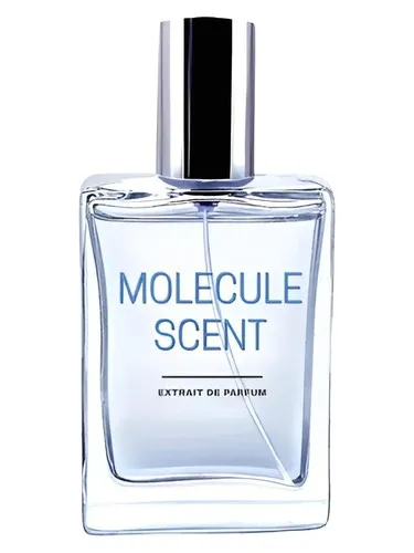 Perfume Molecule Scent de Pocket Scents