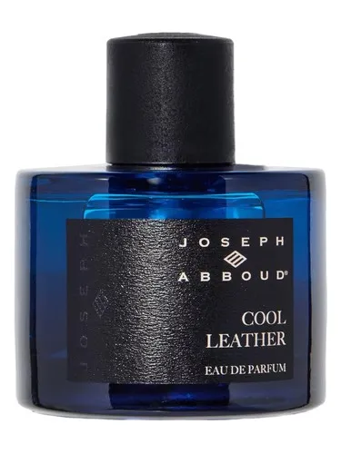 Imagen de Cool Leather