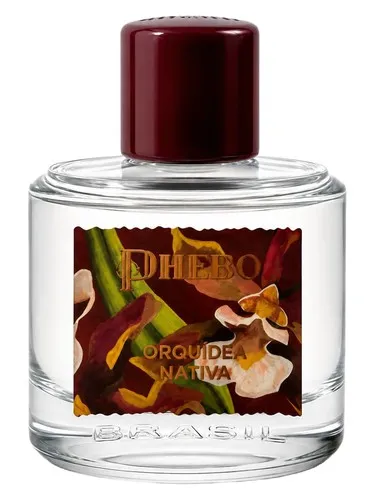 Imagen de Orquídea Nativa