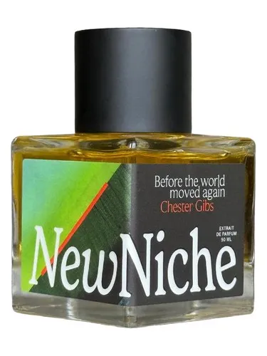 Perfume Before the World Moved Again de NewNiche