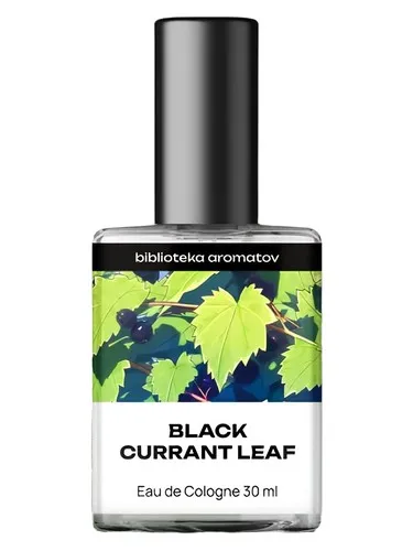 Perfume Black Currant Leaf de biblioteka aromatov