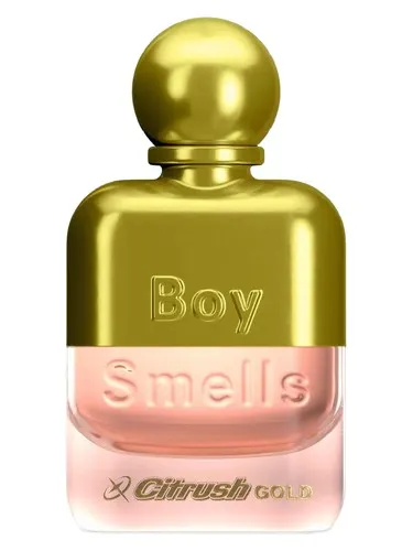 Perfume Citrush Gold de Boy Smells