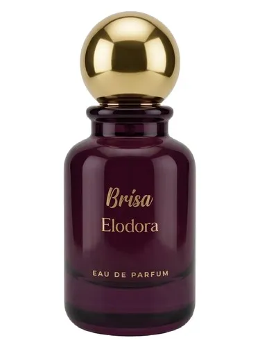 Perfume Brisa de Elodora