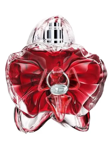 Colección Only Desire