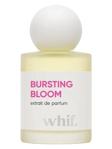 Perfume Bursting Bloom de whif.