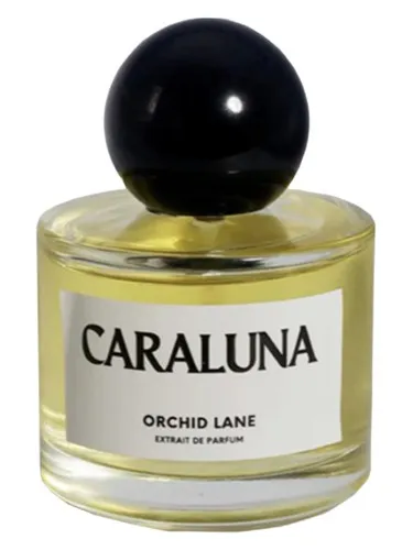 Perfume Caraluna de Orchid Lane
