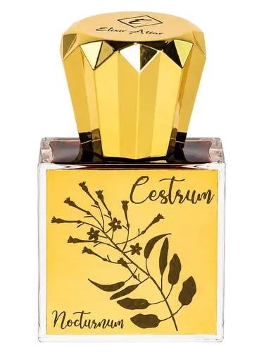 Imagen de Cestrum Nocturnum