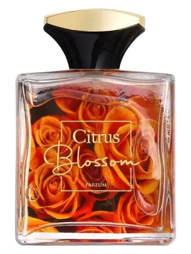 Imagen de Citrus Blossom