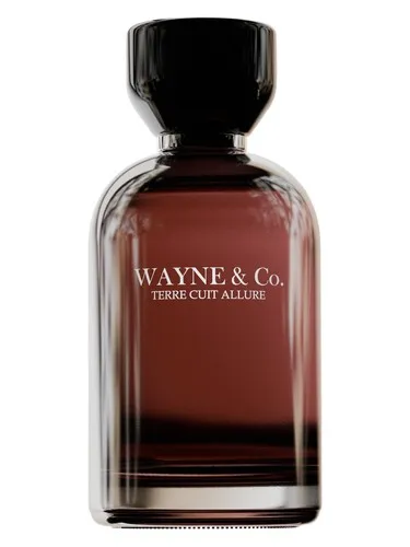 Perfume Terre Cuit Allure de Wayne & Co