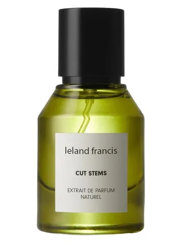 Perfume Cut Stems de Leland Francis