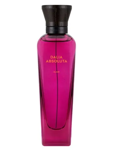 Imagen de Dalia Absoluta Elixir