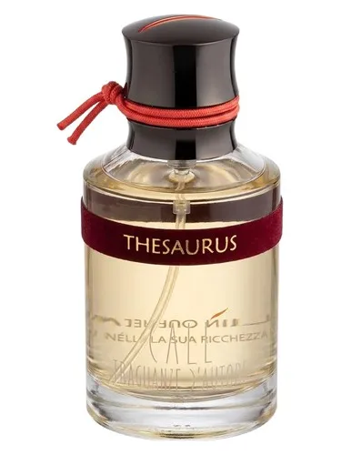 Imagen de Thesaurus