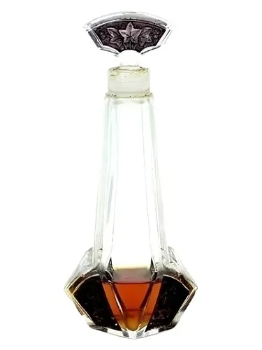 Perfume Extase de Erasmic