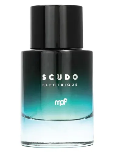 Imagen de Scudo Electrique