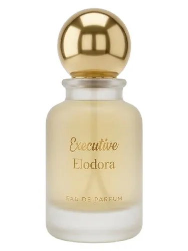 Perfume Executive de Elodora