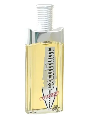 Imagen de Excalibur Courage