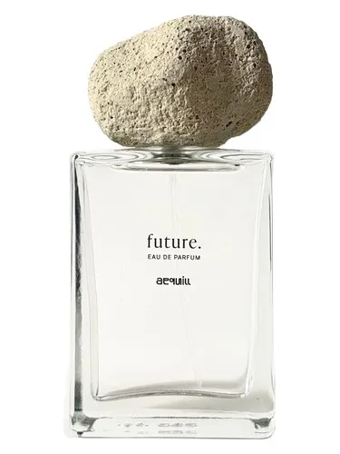 Imagen de Future
