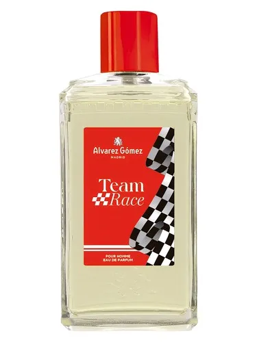 Imagen de Team Race
