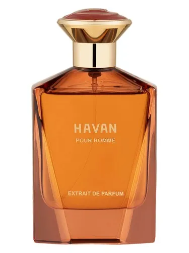 Perfume Havan de Fragrance Story