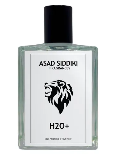 Imagen de H2O+