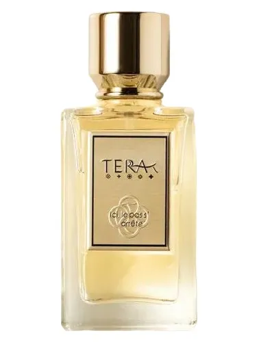 Perfume Ici, le pas s’arrête 凝山 de Terra·T