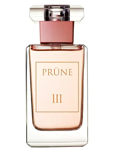 Imagen de PRÜNE III
