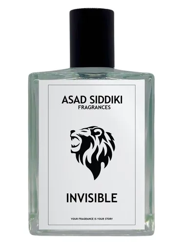 Imagen de Invisible