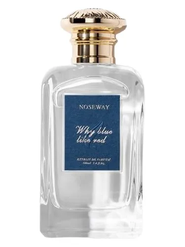 Perfume Why Blue Like Red 忘本的藍 de Noseway 迷香人
