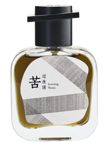 Perfume Scorching Thorns de itā