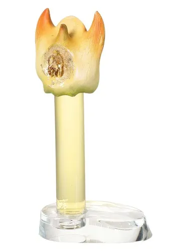 Perfume Xī Hé 羲和 de Sept Neuf 七寸九