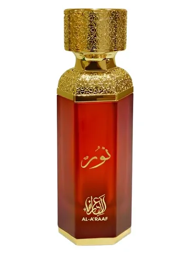 Imagen de Noor