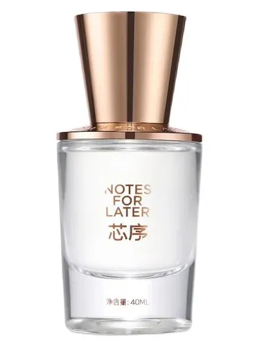 Perfume Musk Moonlight de Notes for Later