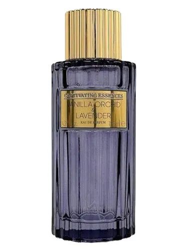 Perfume Vanilla Orchid & Lavender de Captivating Essences